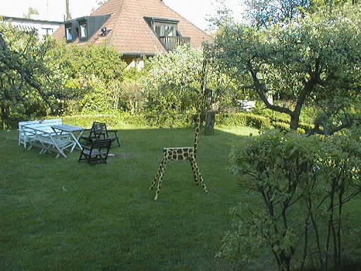 PIC00008.jpg (46113 bytes)